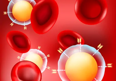 The Epigenetic Landscape During T Cell Exhaustion